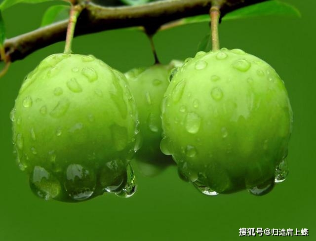 148c6d5a458147a4b55c309a103e3662.jpeg