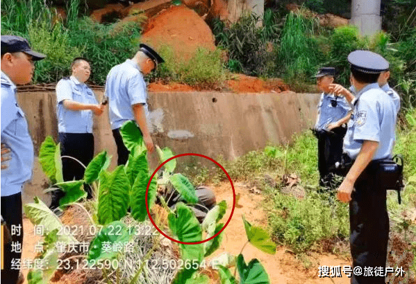 肇庆一驴友挑战野外生存，饿了7天报警求助