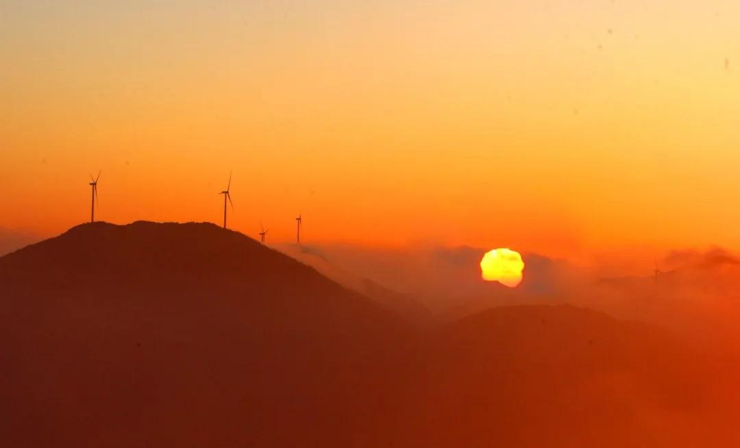 夏日长|大暑 | 长夏终有时，但惜夏日长