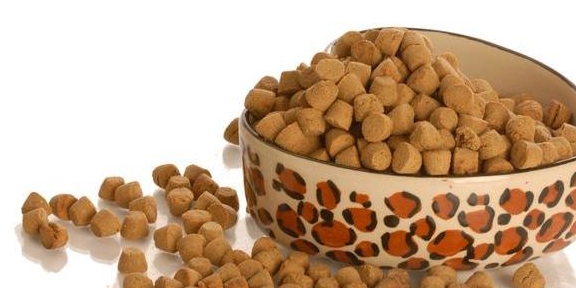 饮食|狗狗“恨你”的7大表现,你家狗子有吗?