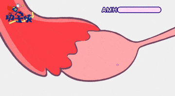 af56c3be1cff4a51b4f01efee79b5c2b.gif