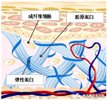 观念|变美首要辨别：有效护肤与无效护肤