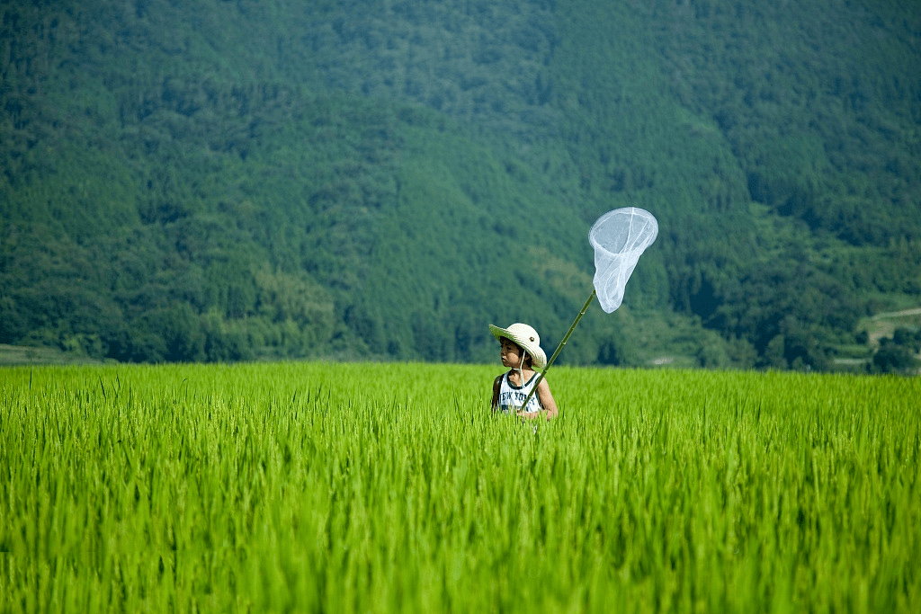 翅膀|这份专属夏日的季节限定美味，告诉你云和人吃得有多野！