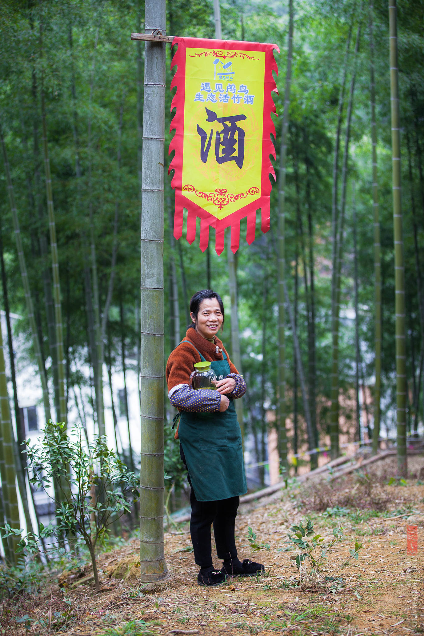 竹酒|亲眼看到活竹子里流出竹酒，为何还有人说是假的？这里的水很深