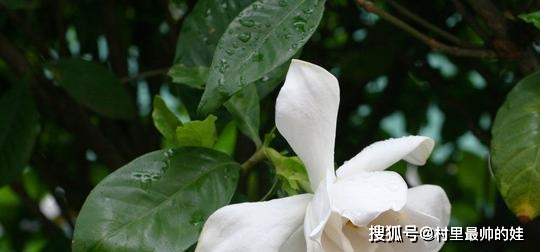 7月25日星座运势 白羊积极向上 天蝎居安思危 摩羯循序渐进 任务