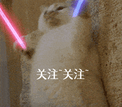 微量元素|想拥有一只“长寿汪”，你要做好这几点！