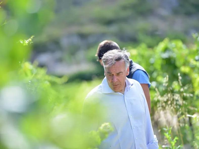 地区|普罗旺斯不止有桃红,铁瓦龙,丹湃,优选干红干白!