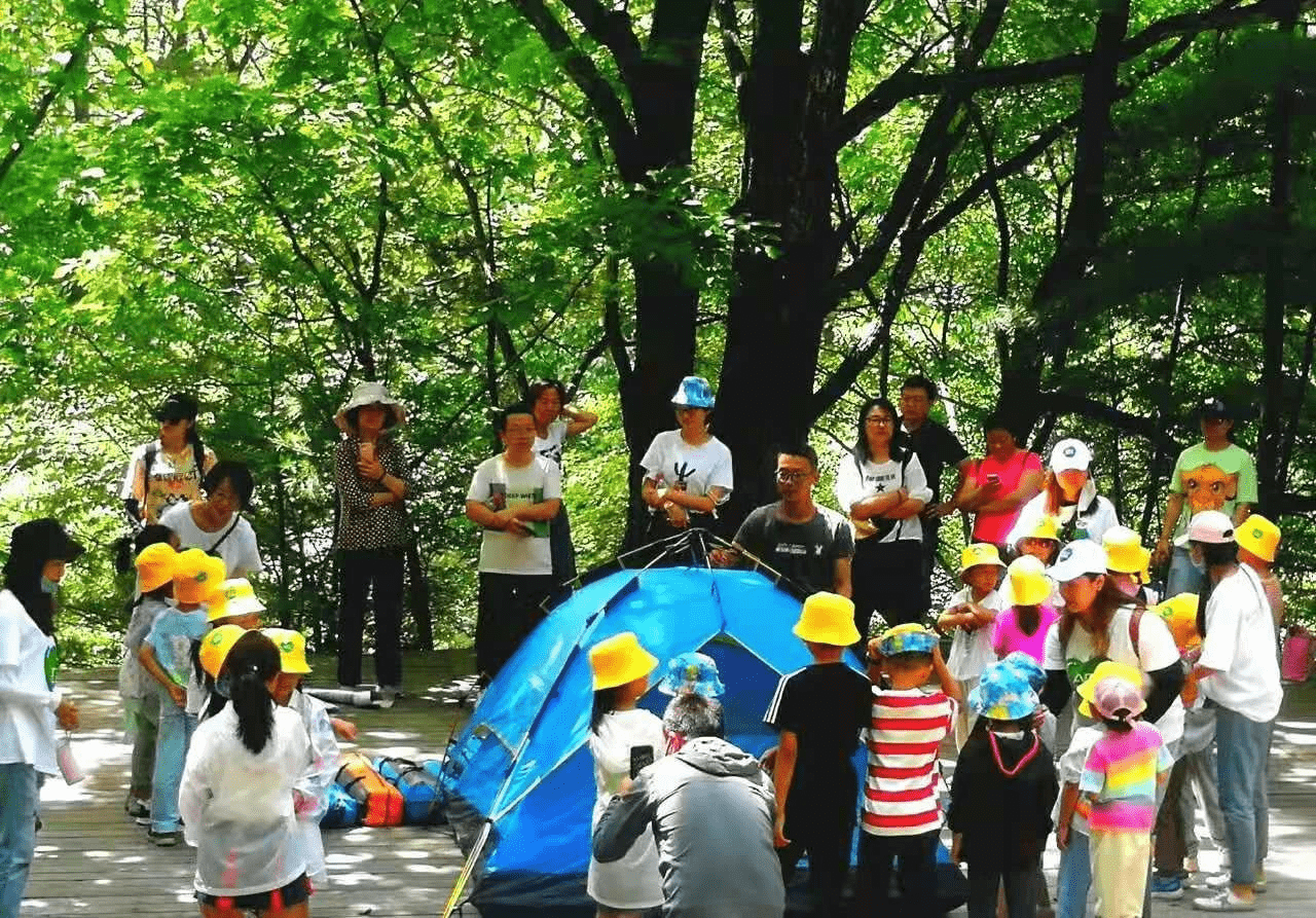 朱雀|朱雀国家森林公园激越体验夏令营活动火热进行中