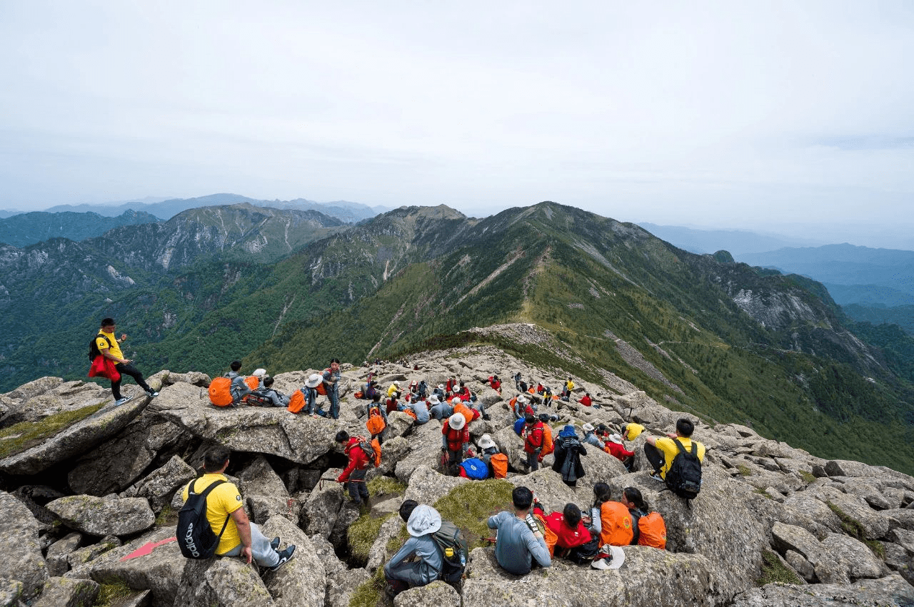 朱雀|朱雀国家森林公园激越体验夏令营活动火热进行中