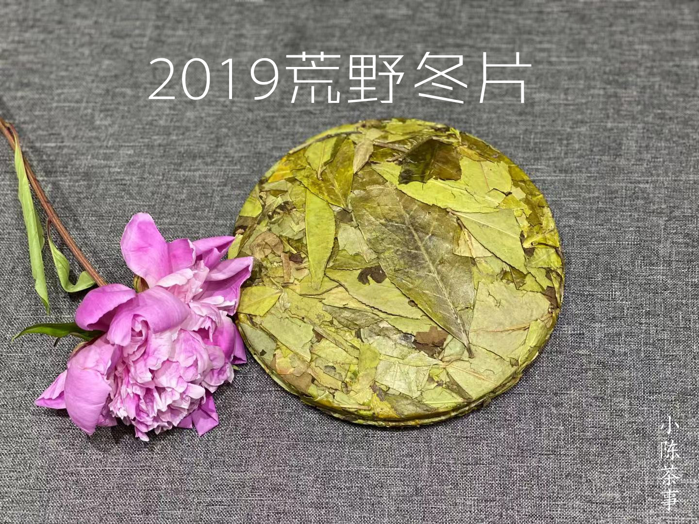 近千元的荒野冬片饼,被茶友存到跑气变味,看看到底怎么回事?