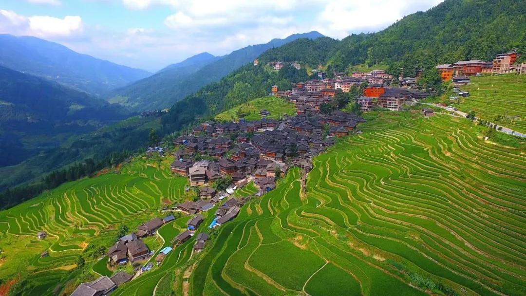 哇~贵州这片夏日稻田也太美了吧！