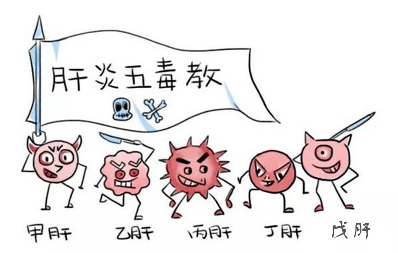 接种|世界肝炎日 | 一起守护你我的小心“肝“