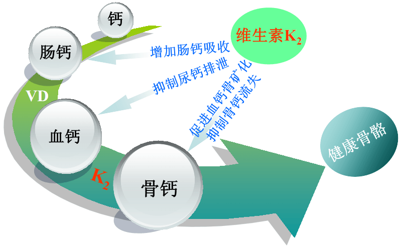 缺乏维生素k2的中老年人,身体普遍存在这个问题,看看父母有吗?_骨骼