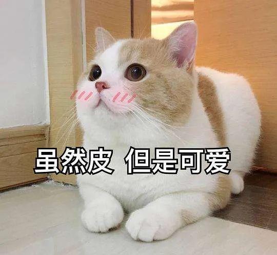 7b671f0db68c4d61abf9d54966a660d0.jpeg