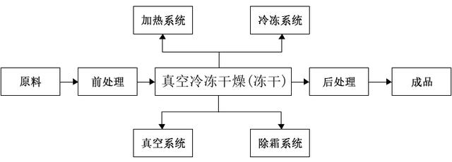 食用菌冻干生产工艺,食用菌冻干机