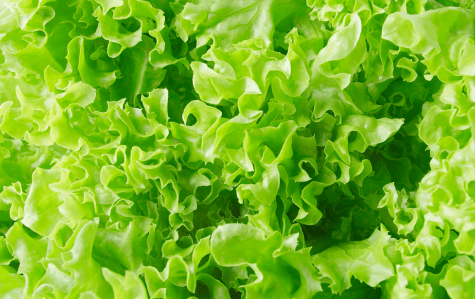 血液|血压升高会出现10大信号，若出现4个以上，提示你该量量血压了！