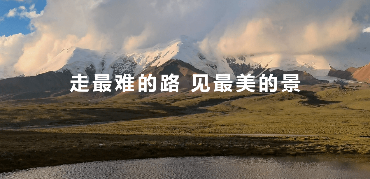 信息|华为p50来了