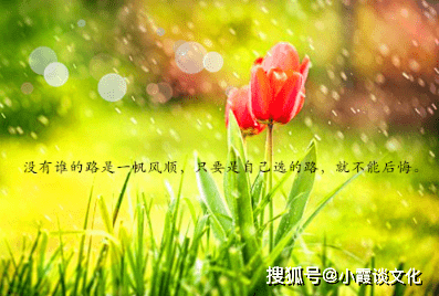 1dee48716e57477daf46ac263f1b4667.png