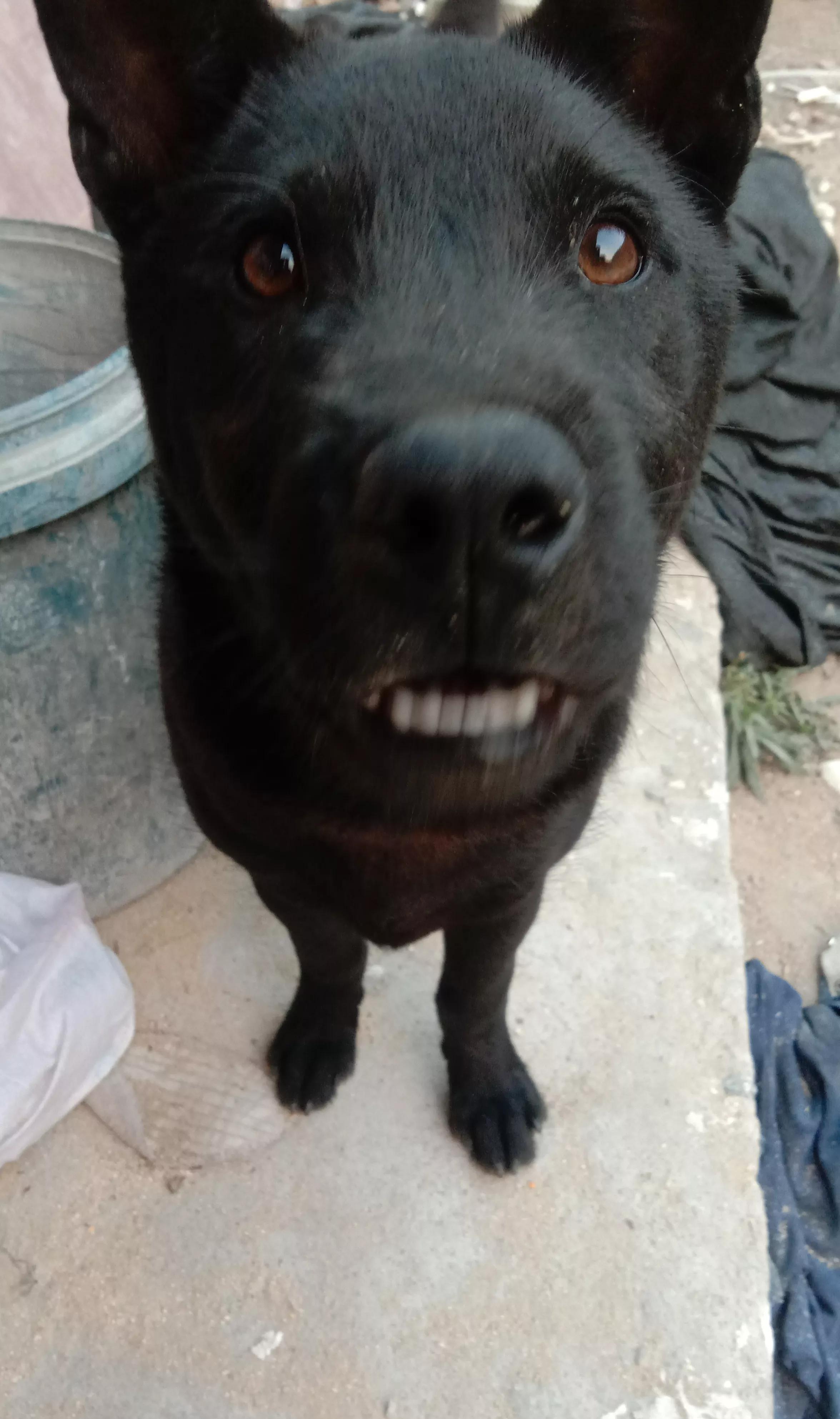 5509e2754c464c88948e1ce71c64baae.jpeg
