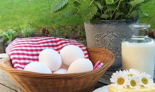 肾盂|隐匿性肾小球肾炎属于急性还是慢性？都不是！