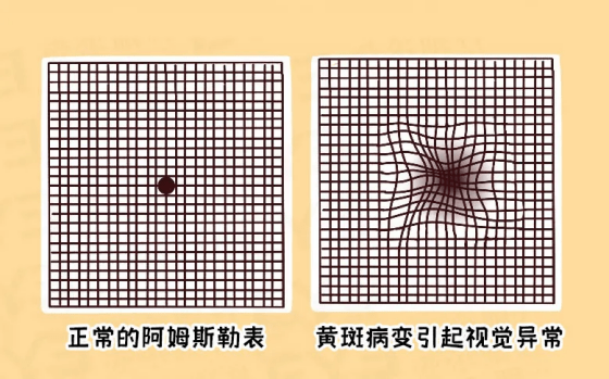 ad5a186d98304ea781ce6ad147056c9f.png