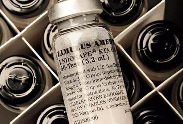 蓝色血液的人类 be9b84b61aa14933a97b314bcb07cdeb.jpeg