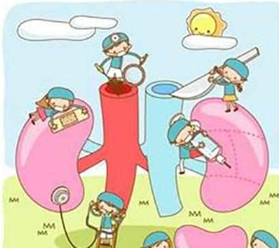 治疗|肾病患者肌酐升高后,做好这三件事,能延缓尿毒症的到来