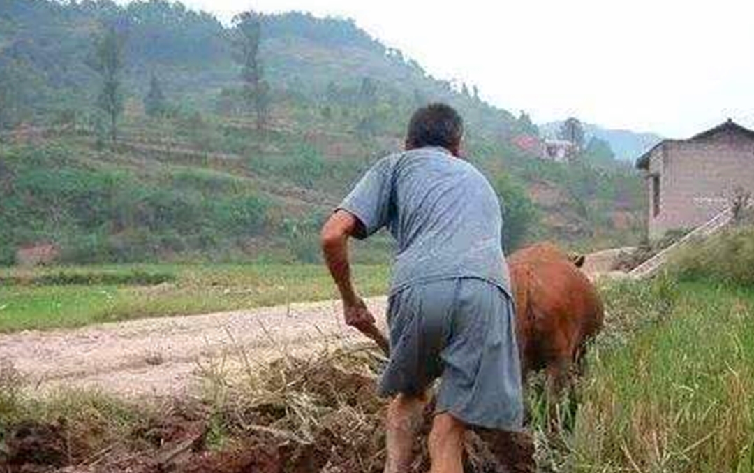 贫穷山区孩子生活记录视频 df7d5cf1c1664e799023be0a7d61d6c8.jpeg