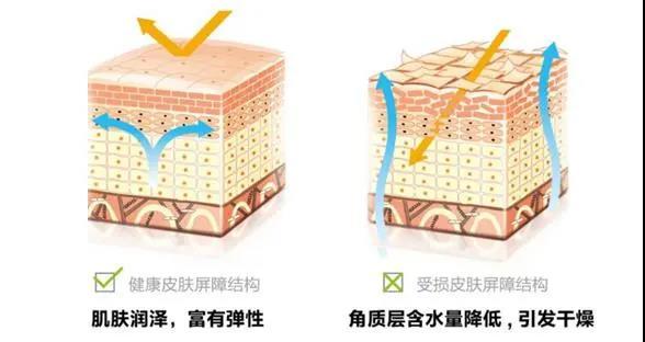 什么|“刷酸”到底刷的是什么刷？#伊站皮肤护理效果怎么样