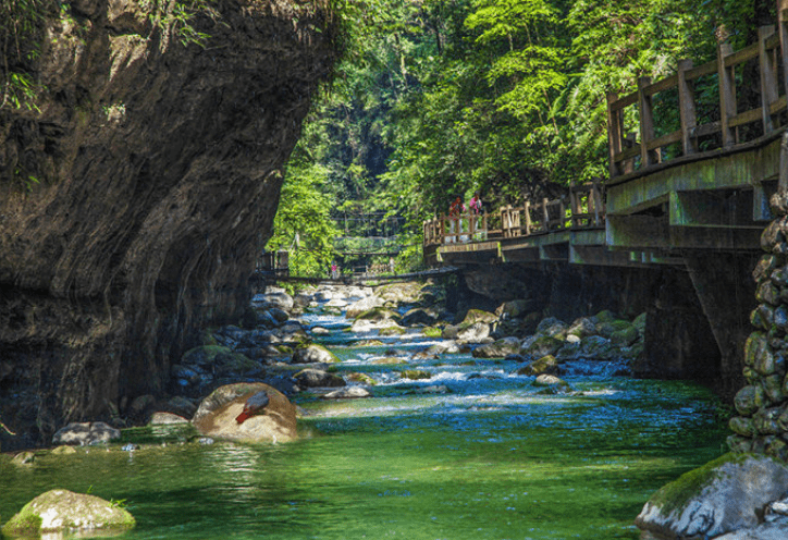 黑山谷海拔高度是317米,氣溫隨季節變化不定黑山谷景區位於重慶市萬盛