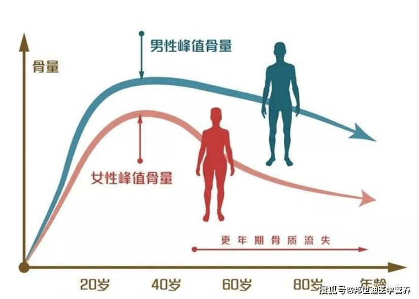 症状|腰背痛、易骨折……这种“无声无息的流行病”，每个人都应该重视起来！