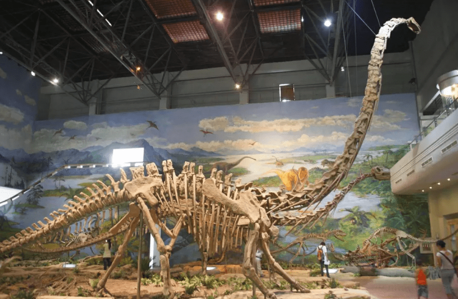 超值一游的四川博物馆推荐——自贡·恐龙博物馆