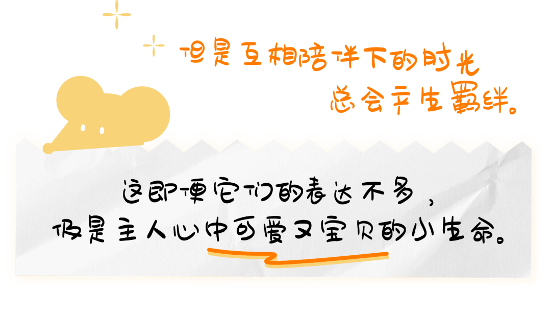 因为|吸完几百只猫猫狗狗,我们从中选出了30只最可爱的给你