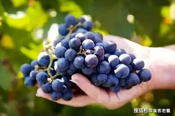 ab64b9302a234f43a1beacf146cbf11a.jpeg