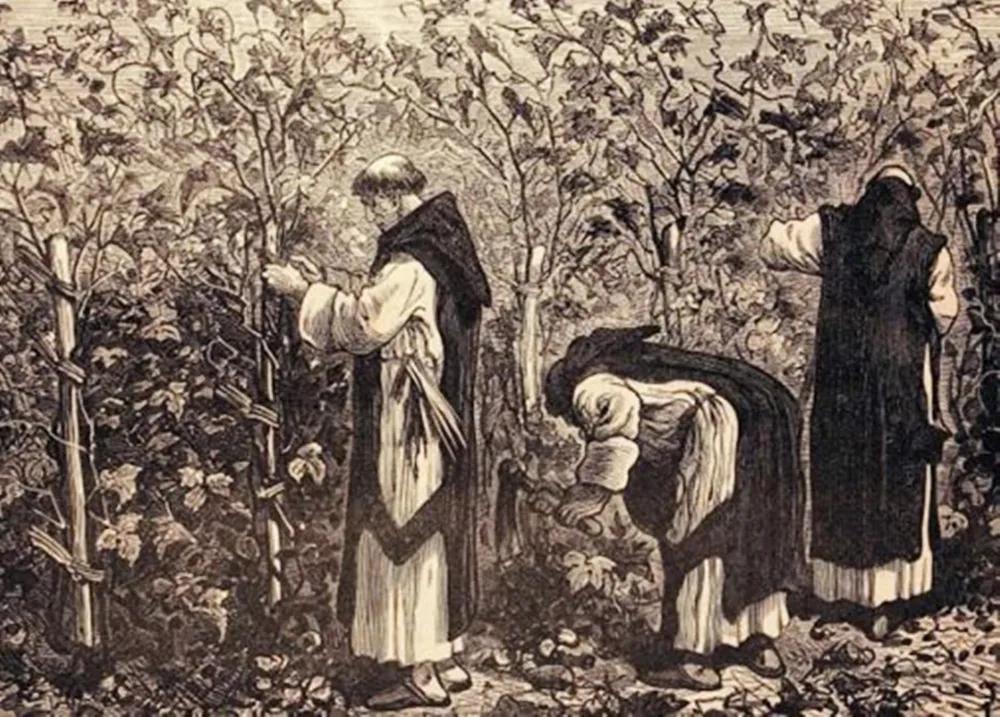 酿酒|珍贵史料 | 百年前摩尔多瓦民族竟如此酿酒?