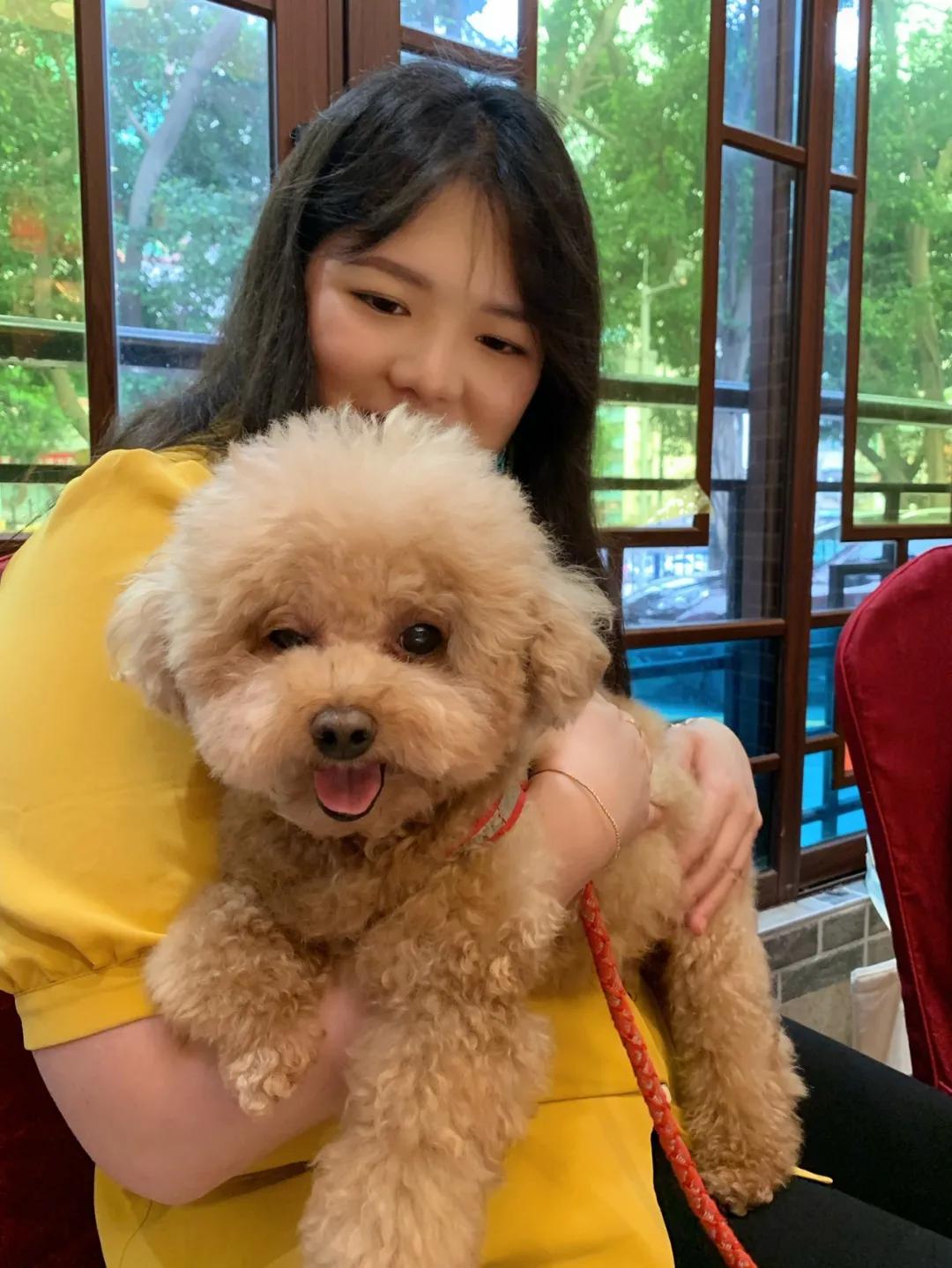 因为|吸完几百只猫猫狗狗,我们从中选出了30只最可爱的给你