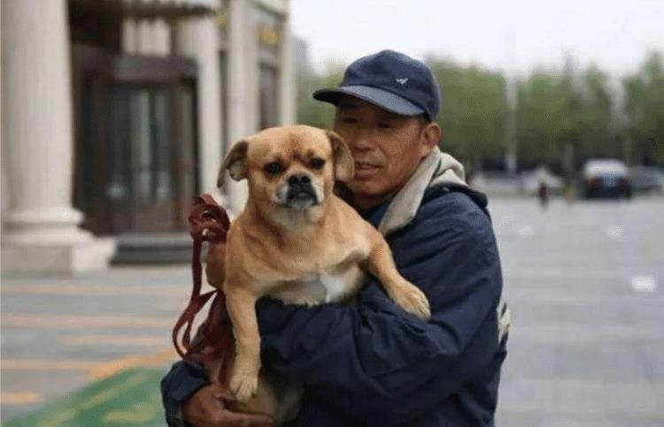 流浪狗向环卫爷爷讨食,为报答一饭之恩,狗狗每日帮忙打扫大街 流浪狗向环卫爷爷讨食,为报答一饭之恩,狗狗每日帮忙打扫大街