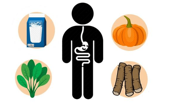 如何防止大脑退化 3c4c1c775ed04b3693c076d2579c7705.png