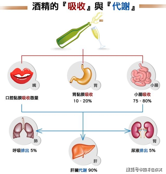 2021，人類會走向毀滅？霍金的末日預言究竟準不準？ 科技 第3張