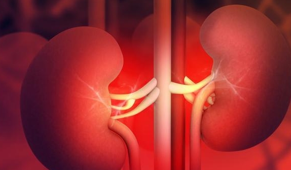 治疗|蛋白尿不难降,避免尿毒症,肾友要早重视3点