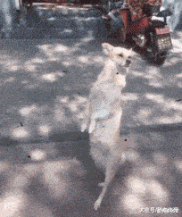 家小|如果我是按摩师,遇到这种客人,可能我直接就跑了吧!哈哈哈哈哈!太吓人了!