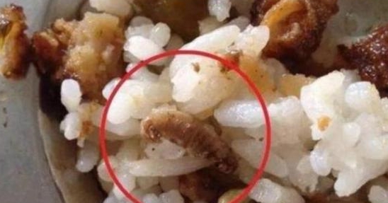 众怒|老师发来午餐照，“高蛋白”饭菜惹众怒，宝妈：你家孩子吃吗？