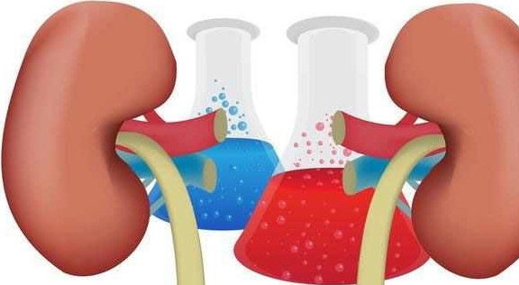 肾脏|肌酐升高了怎么办？先做这几件事情，对延缓肾脏恶化很有帮助！