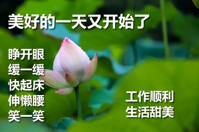 8a630bacfd3c4eb98a6c76179cd0729d.jpeg