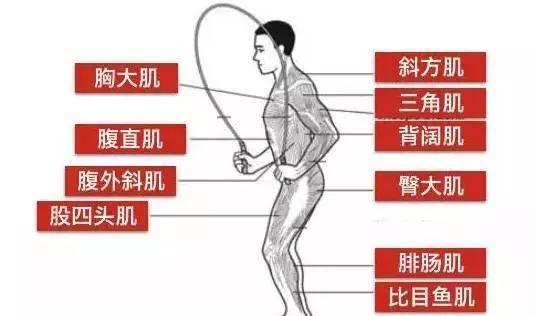 bd3e53f8e85a43b6a3d9259b55106f03.jpeg