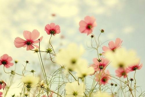 怎么才能让自己有好运 d7213a870c474ec9921f30b7f01ee9a9.jpeg