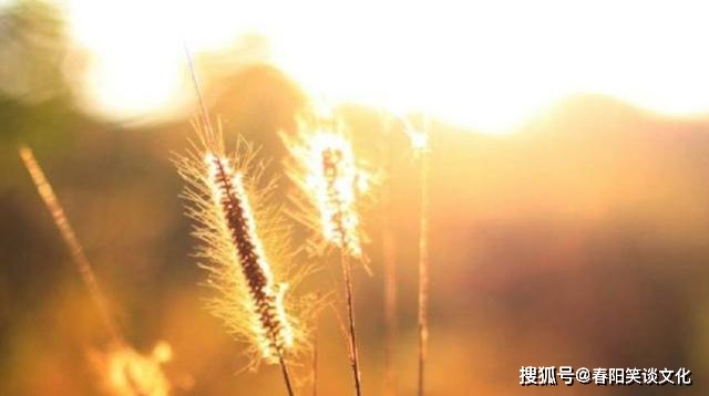 32751c97d04f4ab5a4f162cad60501f1.jpeg