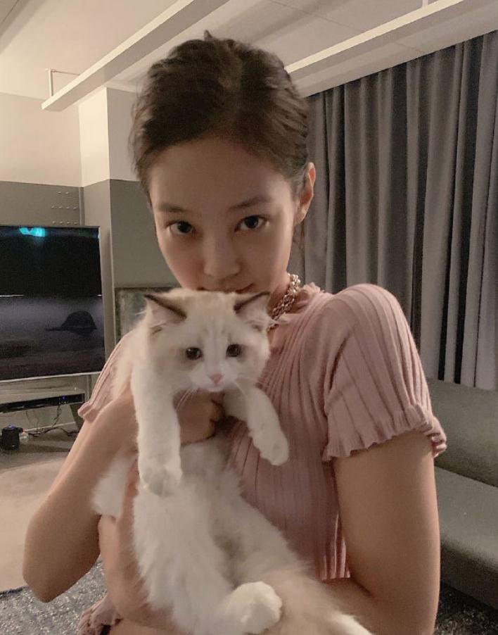 发型|2021人类高质量变美公式:放弃做人,跟动物学化妆?