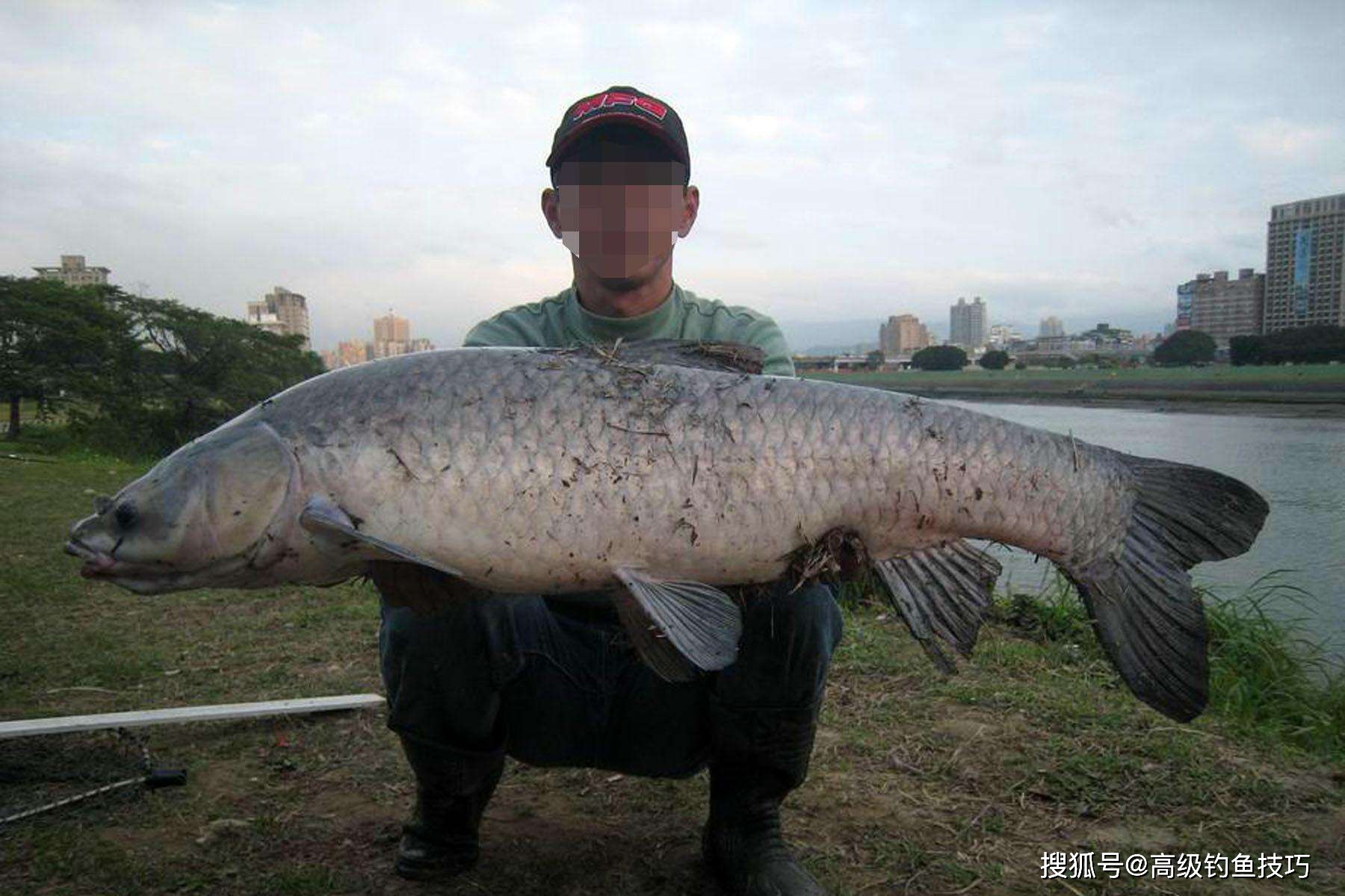 64dec42011124350bf0944b4466a9be6.jpeg