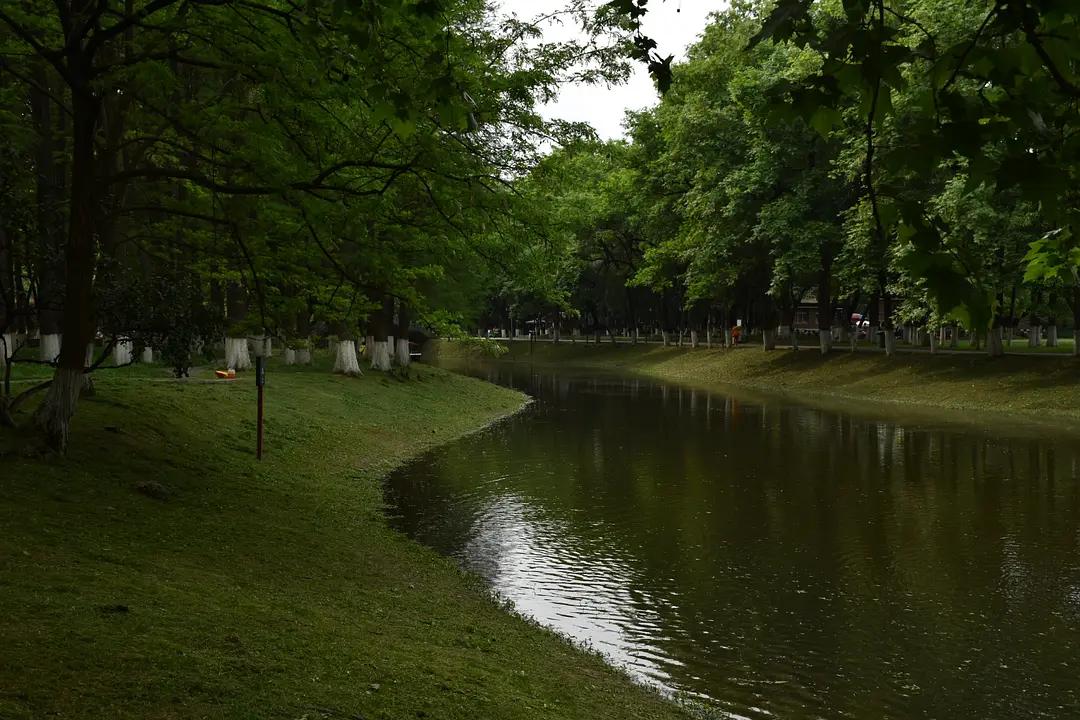 幼儿园|绿就一个字，可是已经把全世界都融化了（一个幼儿园教师的快乐暑假）